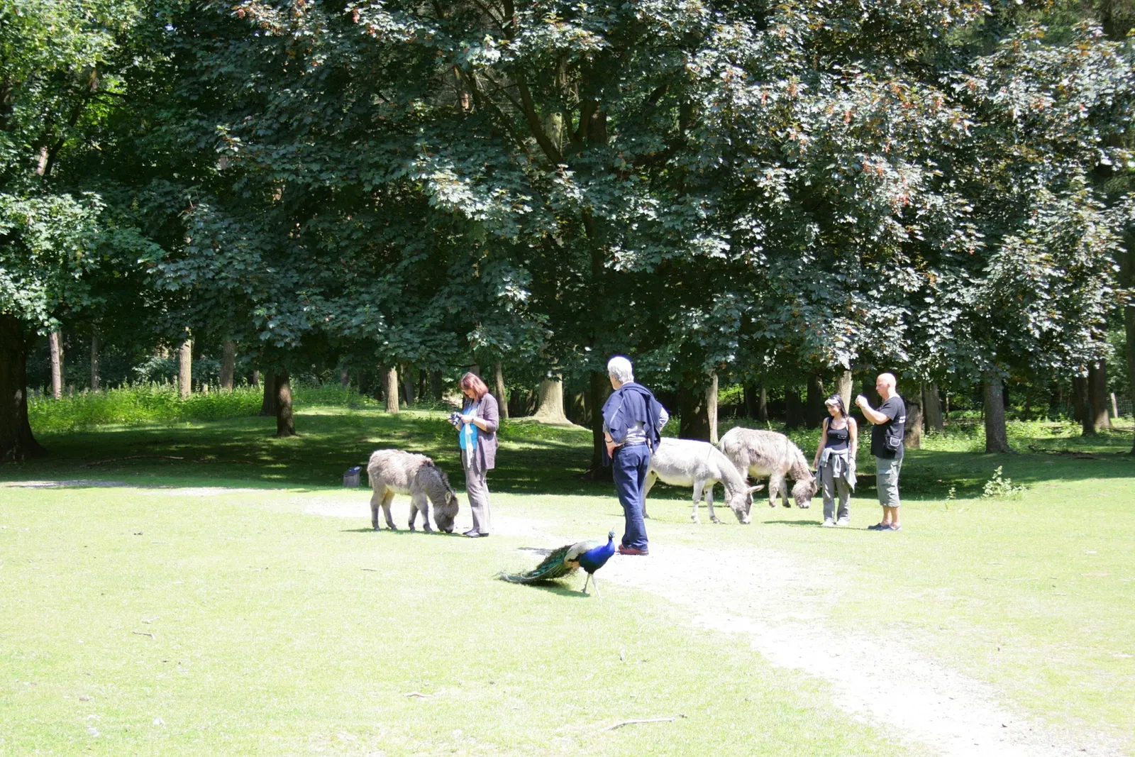 Biotopwildpark Anholter Schweiz