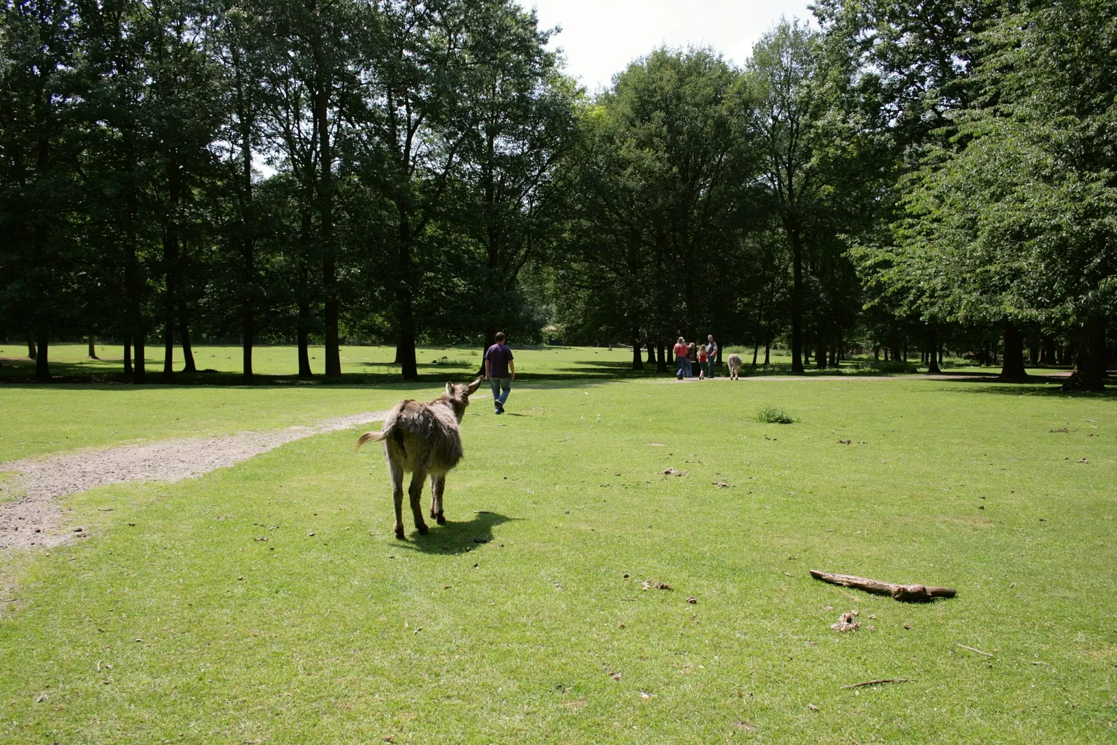 Biotopwildpark Anholter Schweiz