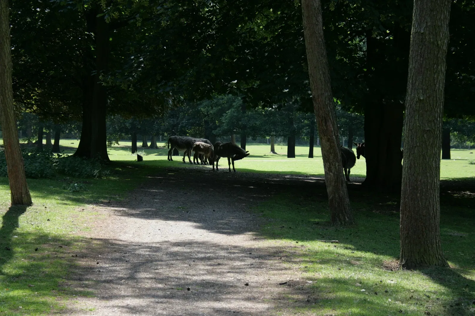 Biotopwildpark Anholter Schweiz