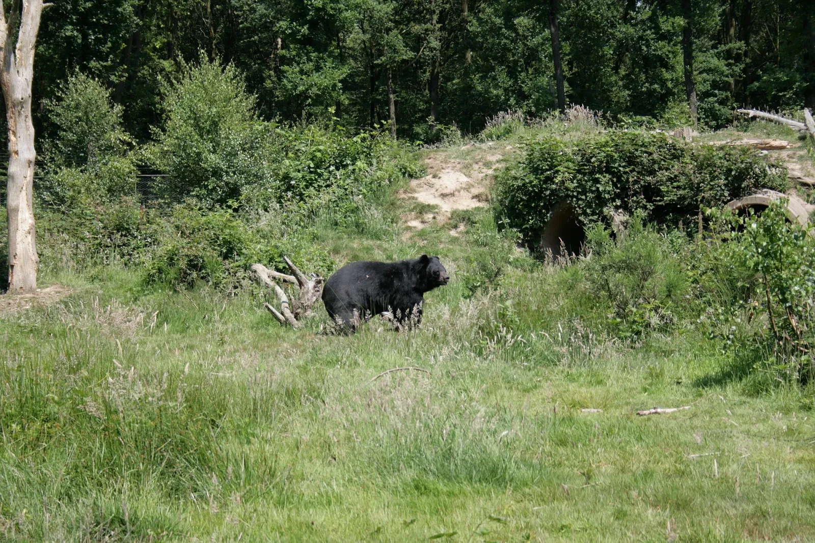 Biotopwildpark Anholter Schweiz
