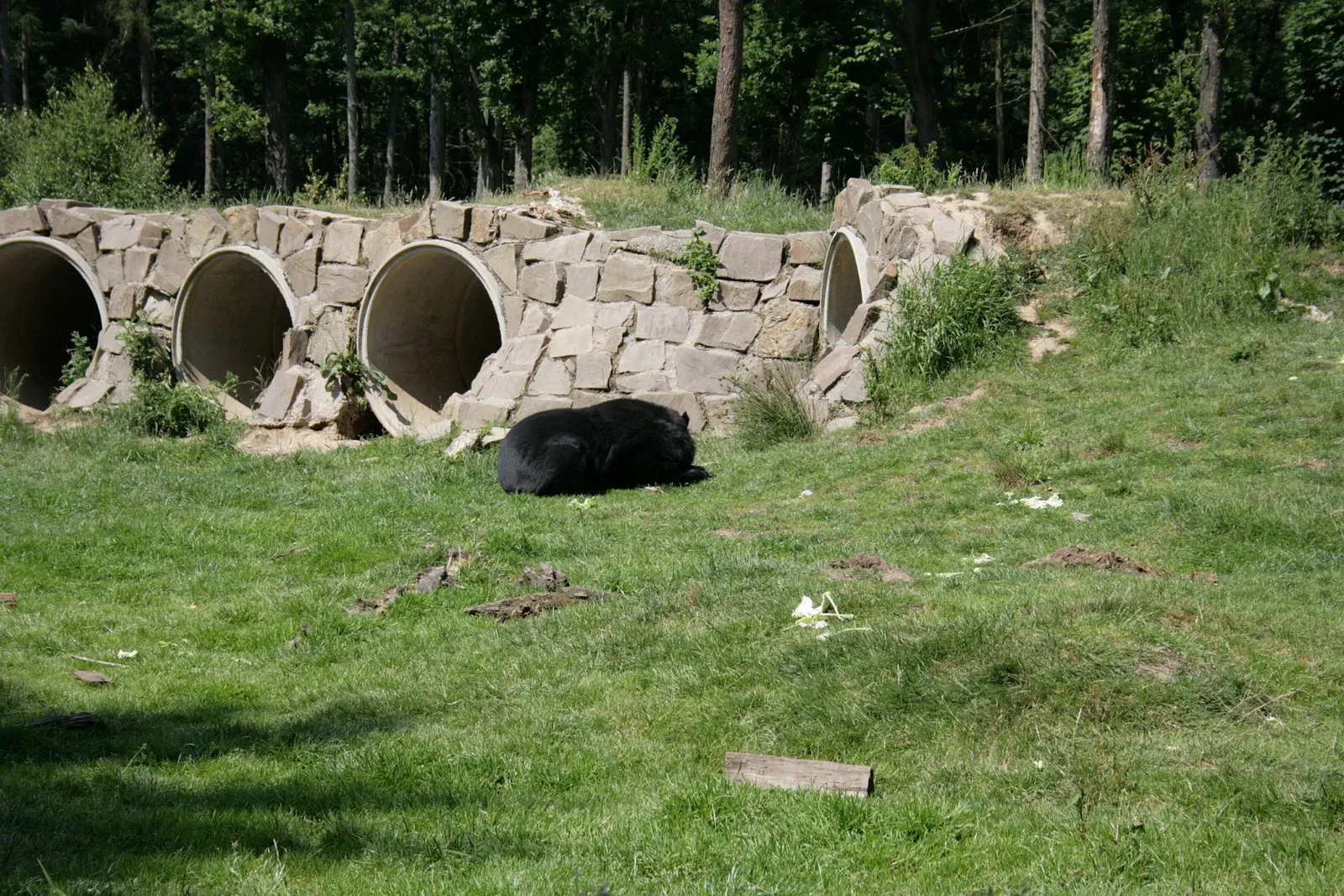 Biotopwildpark Anholter Schweiz