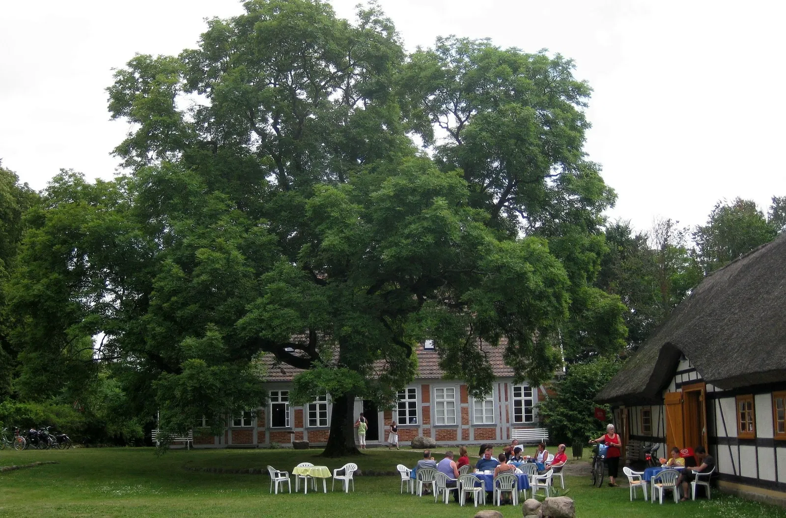 Heinrich Schliemann Museum