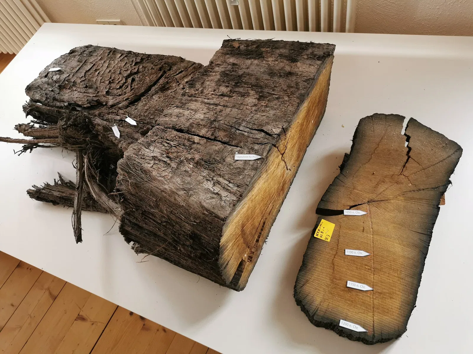 Museum unter der YBurg