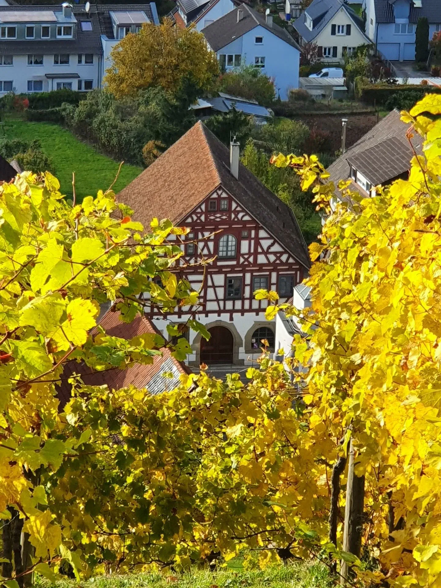 Museum unter der YBurg