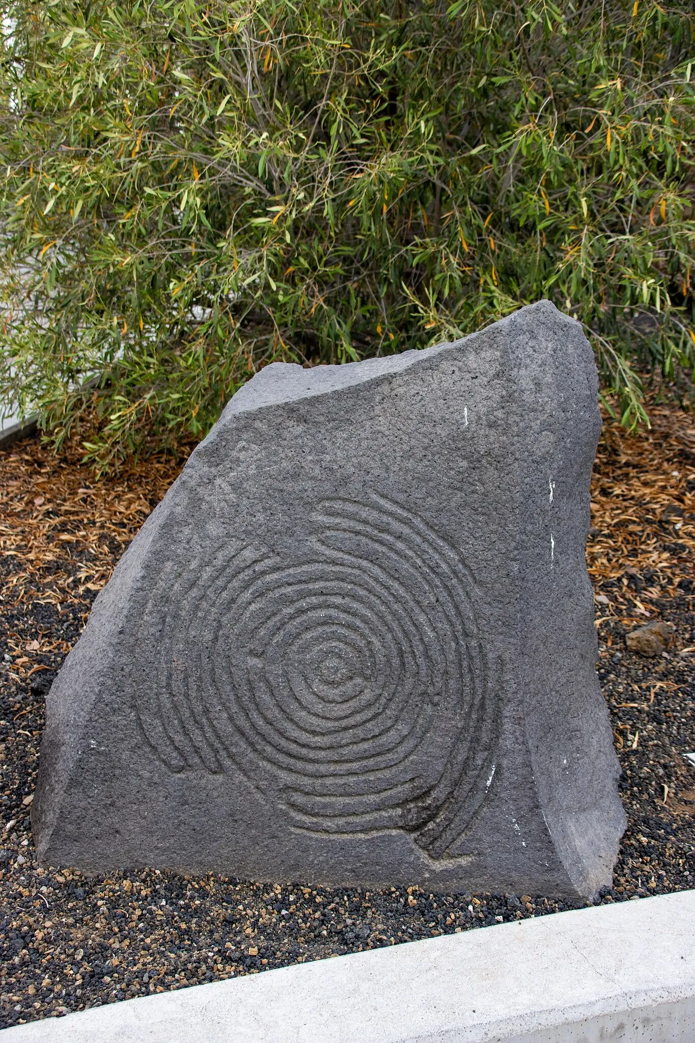 Benahoarita Archaeological Museum