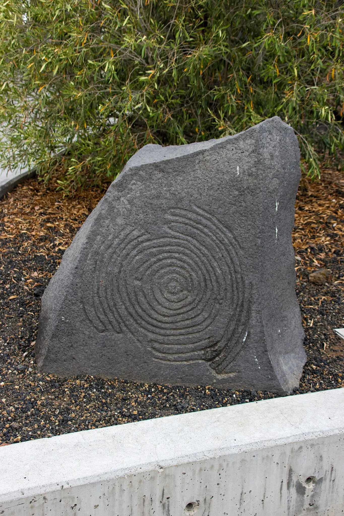 Museo Arqueológico Benahoarita
