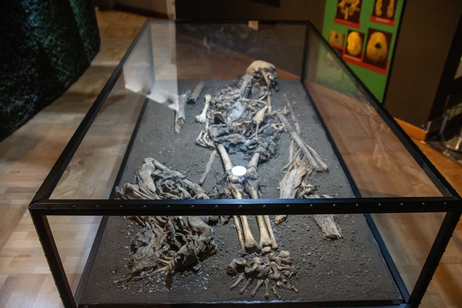 Museo Arqueológico Benahoarita