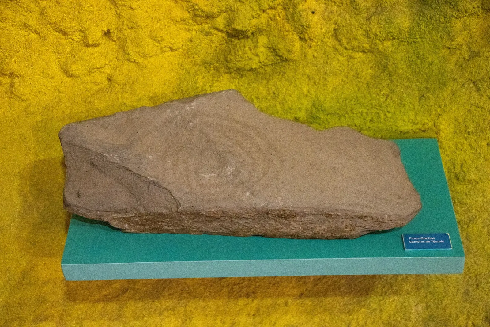 Benahoarita Archaeological Museum