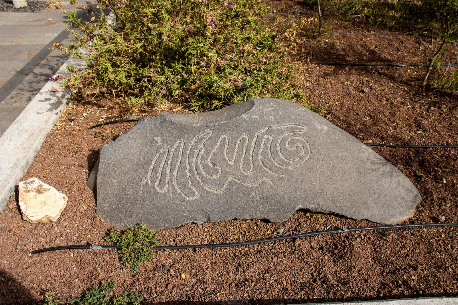 Benahoarita Archaeological Museum