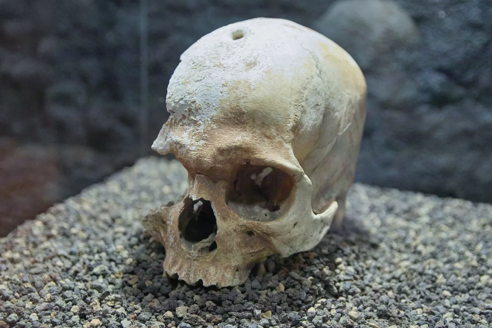 Museo Arqueológico Benahoarita