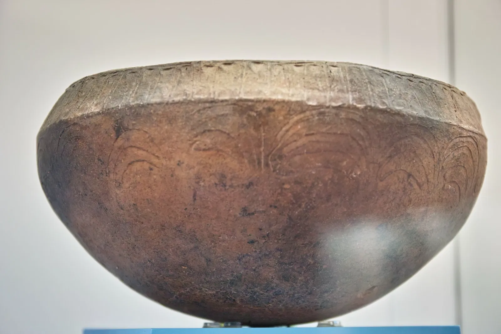 Benahoarita Archaeological Museum