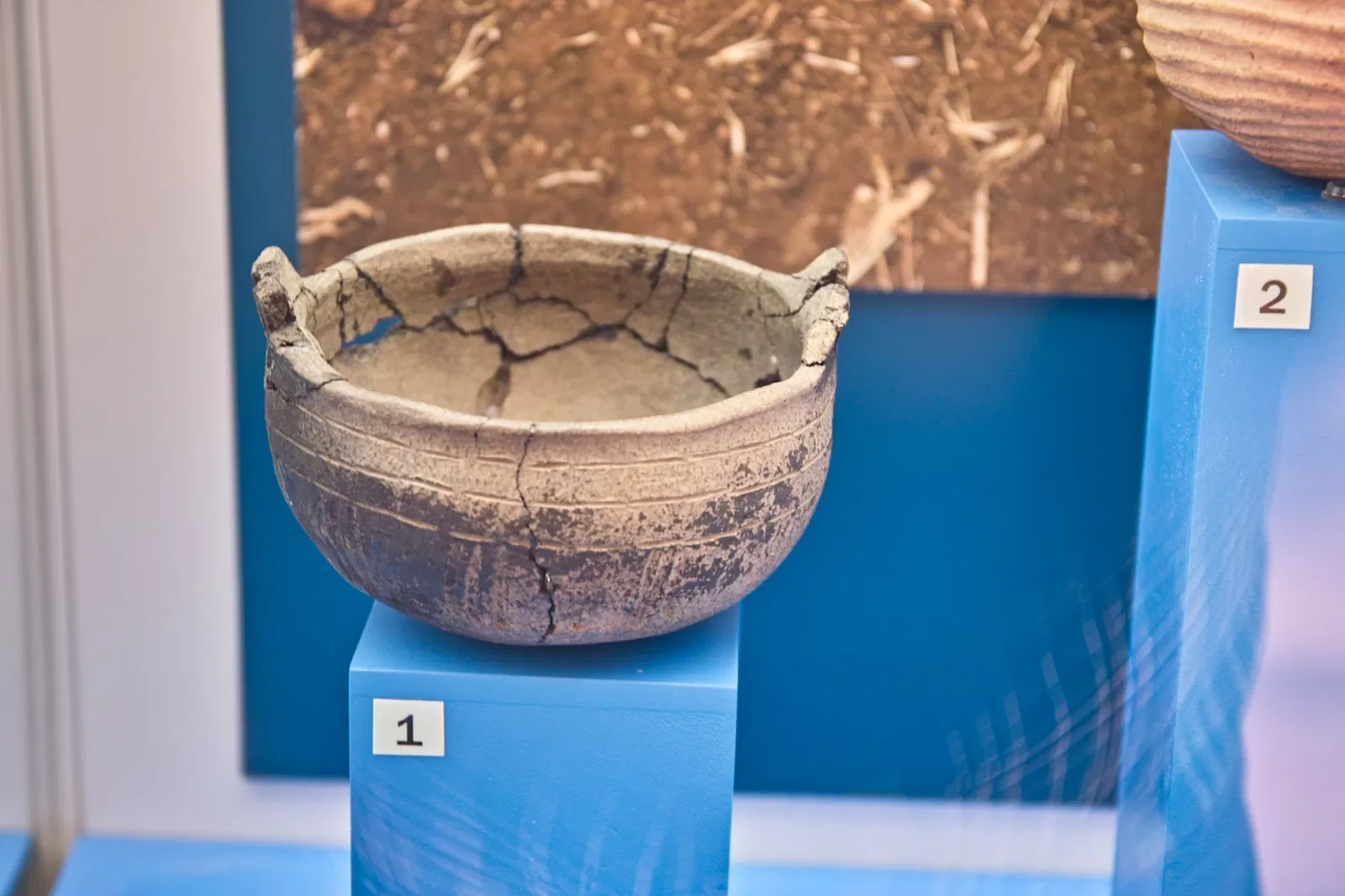 Museo Arqueológico Benahoarita