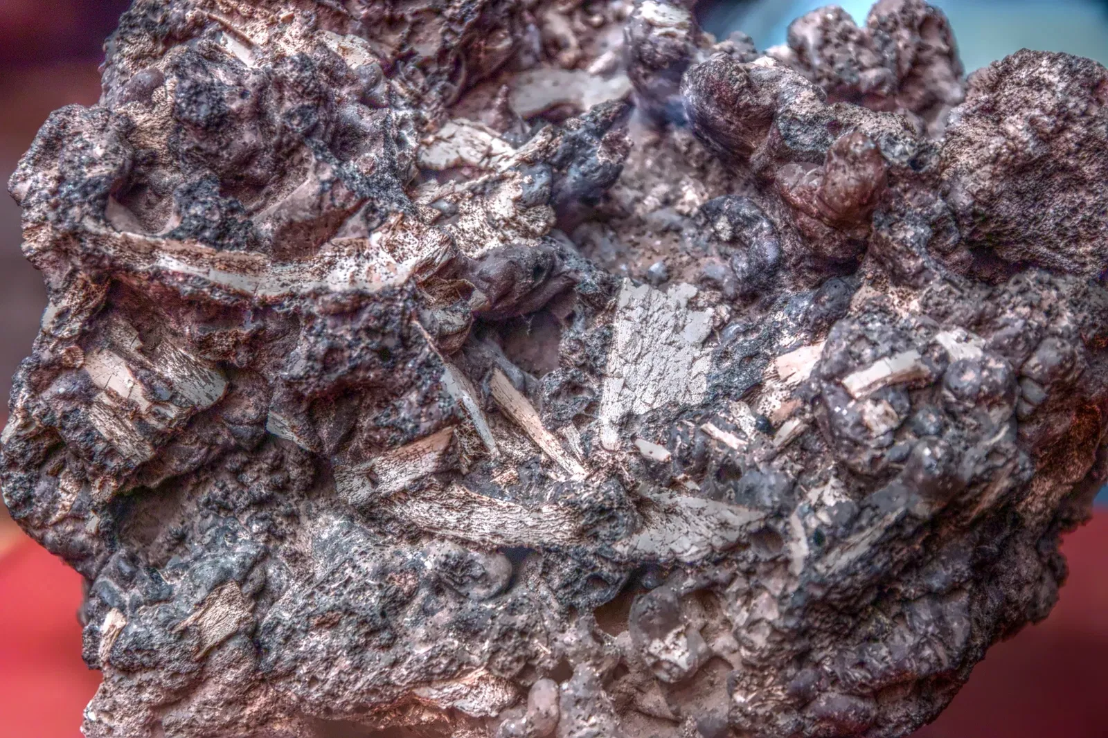 Benahoarita Archaeological Museum