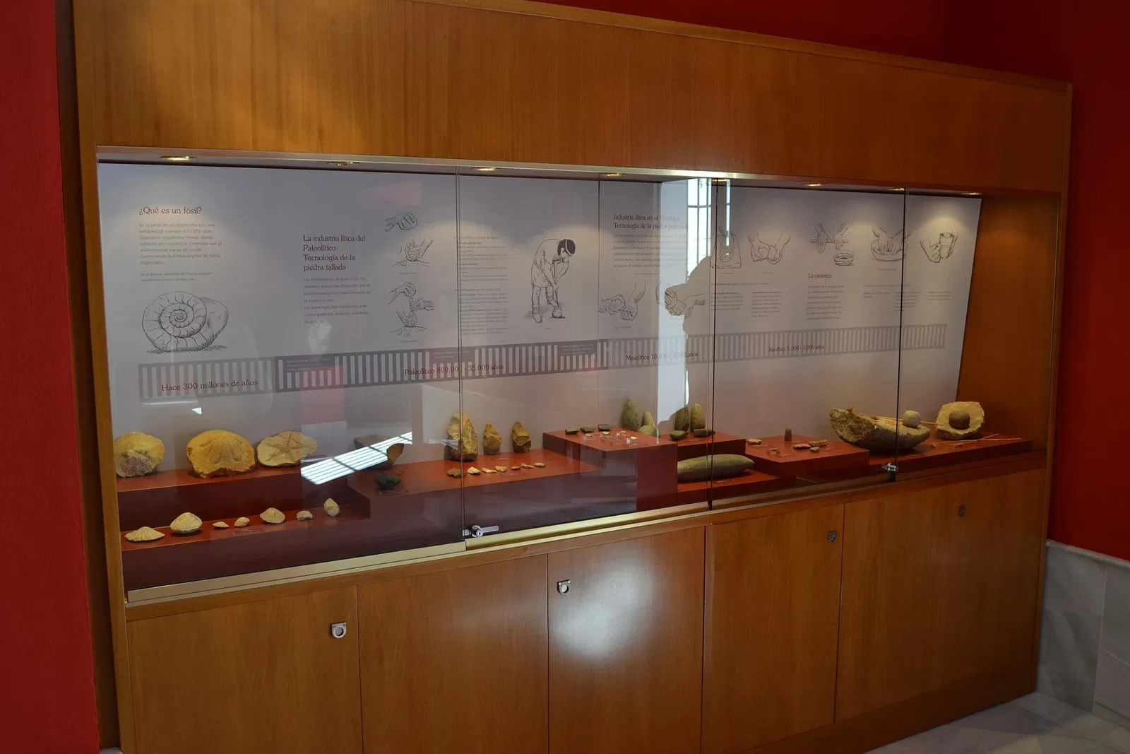 Museo Arqueológico de Espera