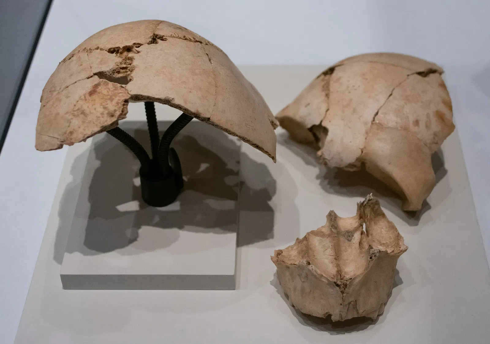 Museu i Poblat Ibèric de Ca n'Oliver