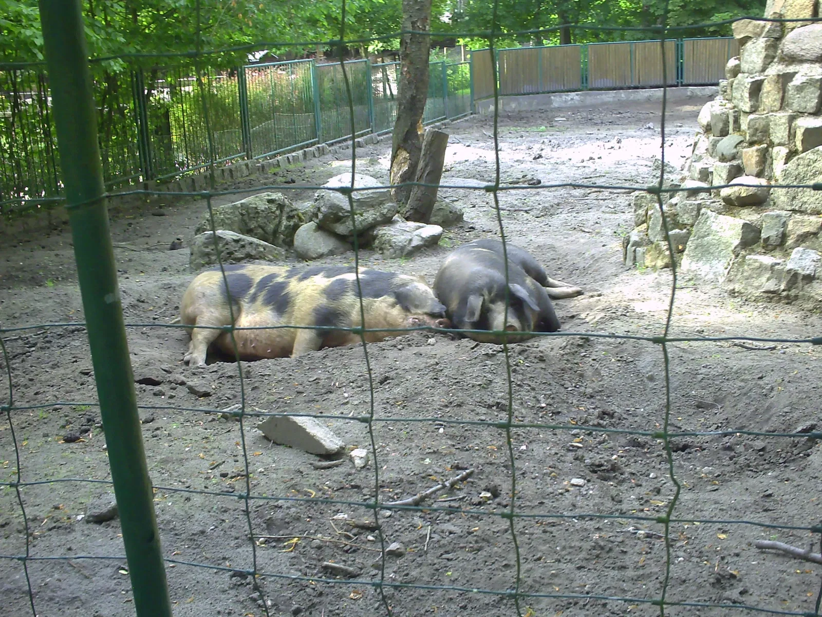 Tierpark Weißwasser