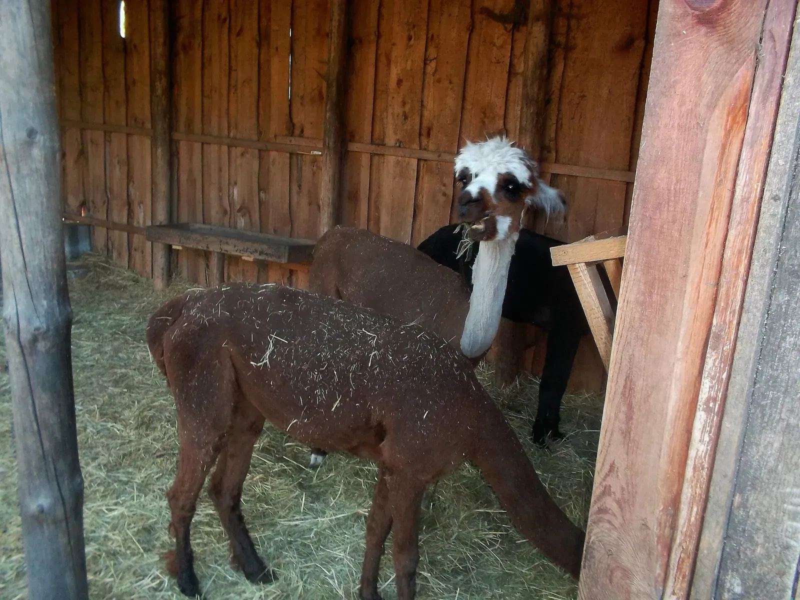 Tierpark Weißwasser