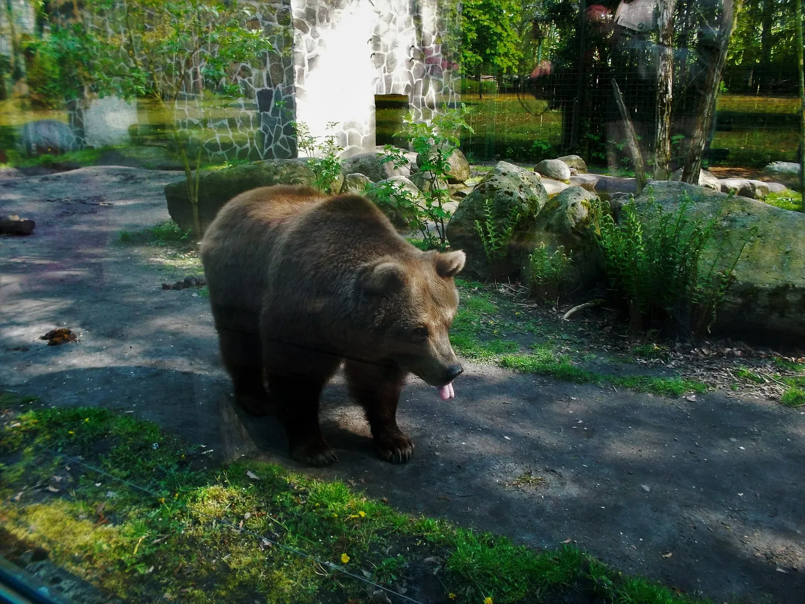 Tierpark Weißwasser