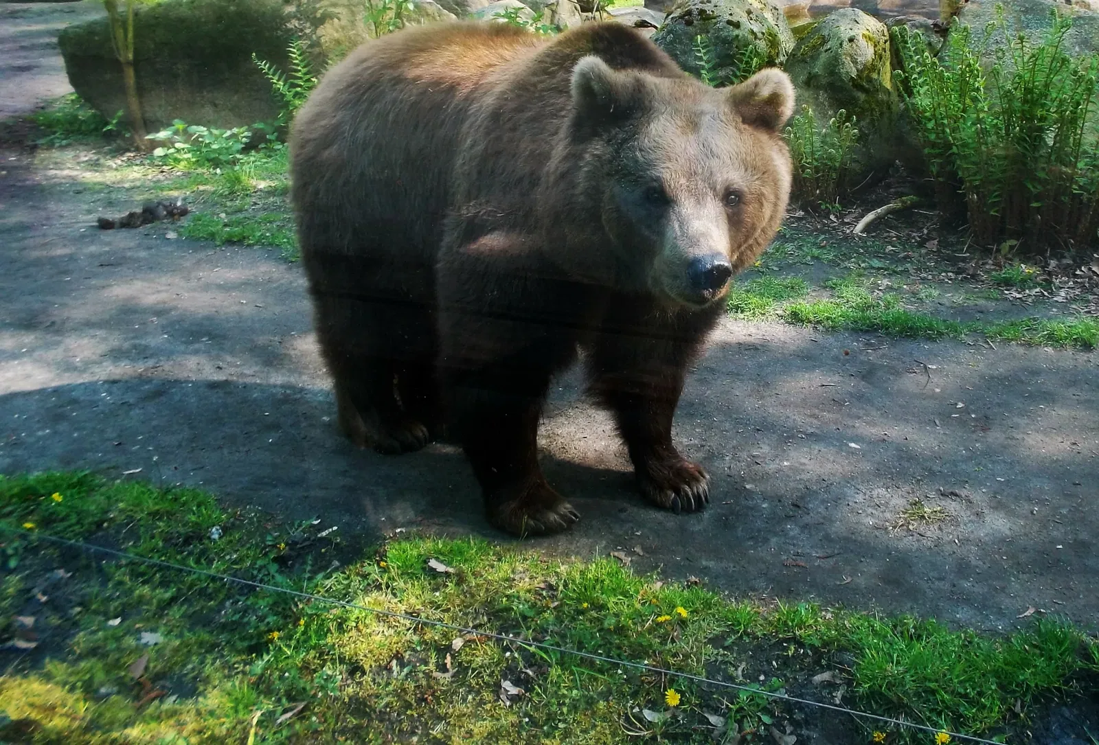 Tierpark Weißwasser