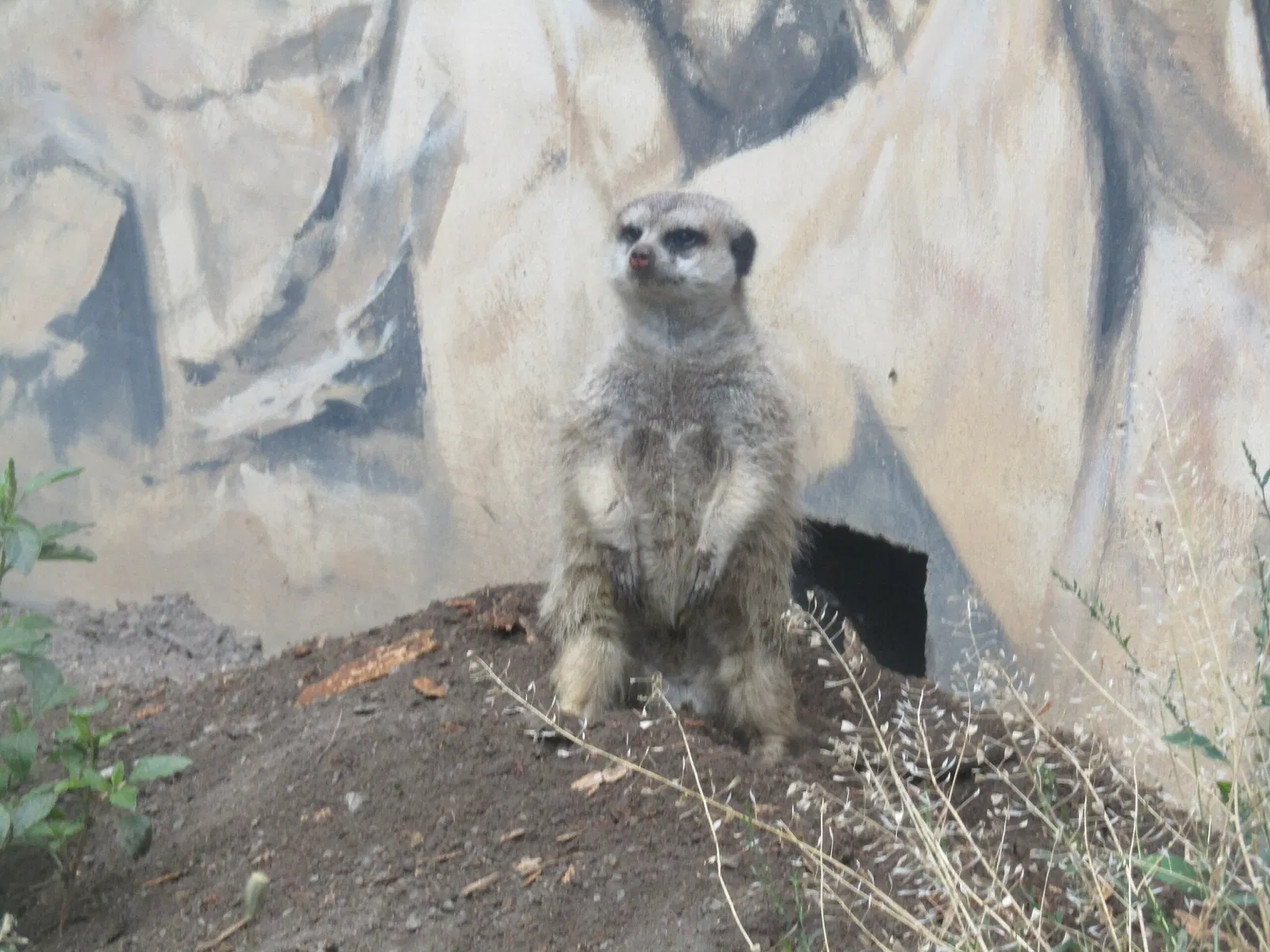 Tierpark Weißwasser