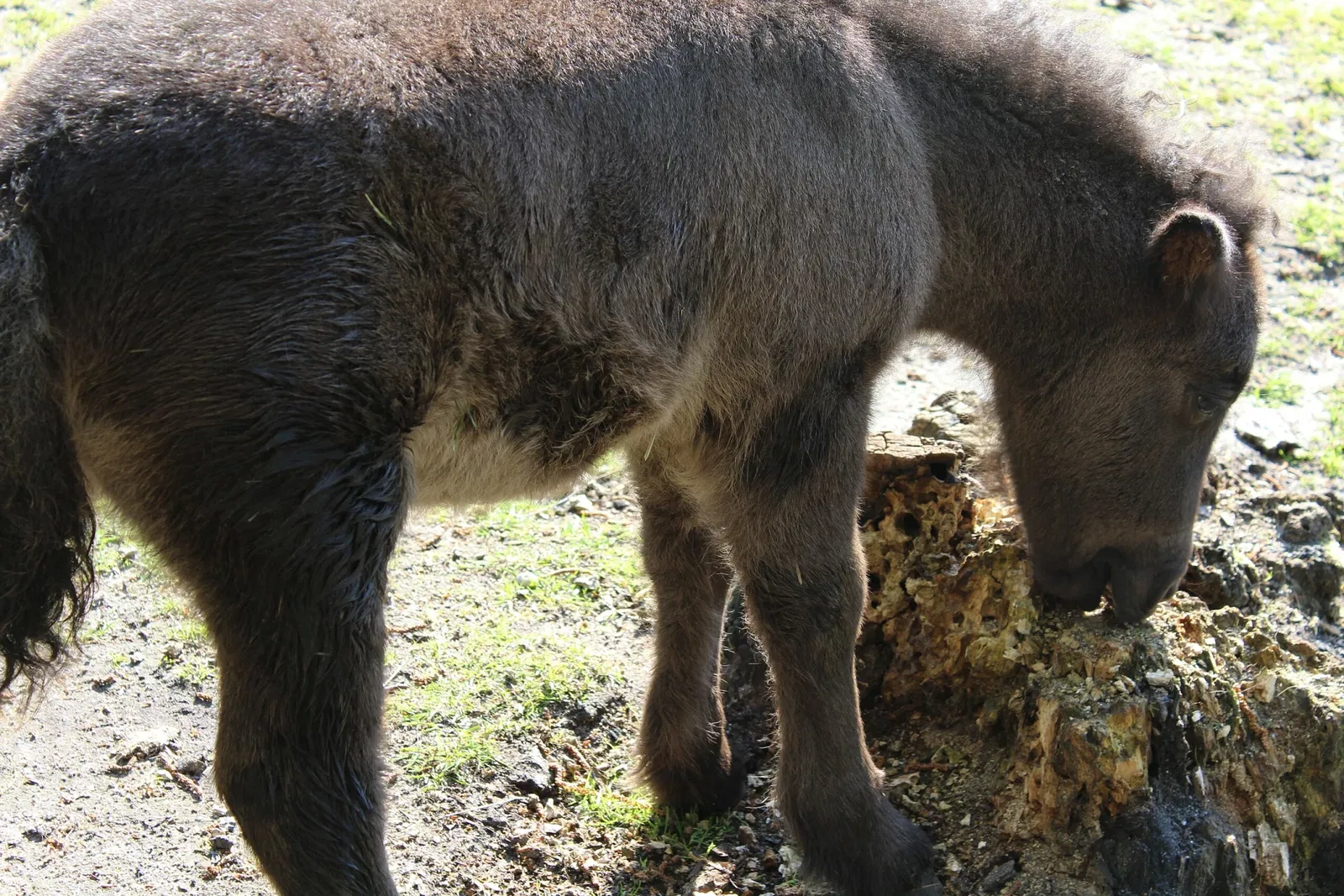 Tierpark Weißwasser