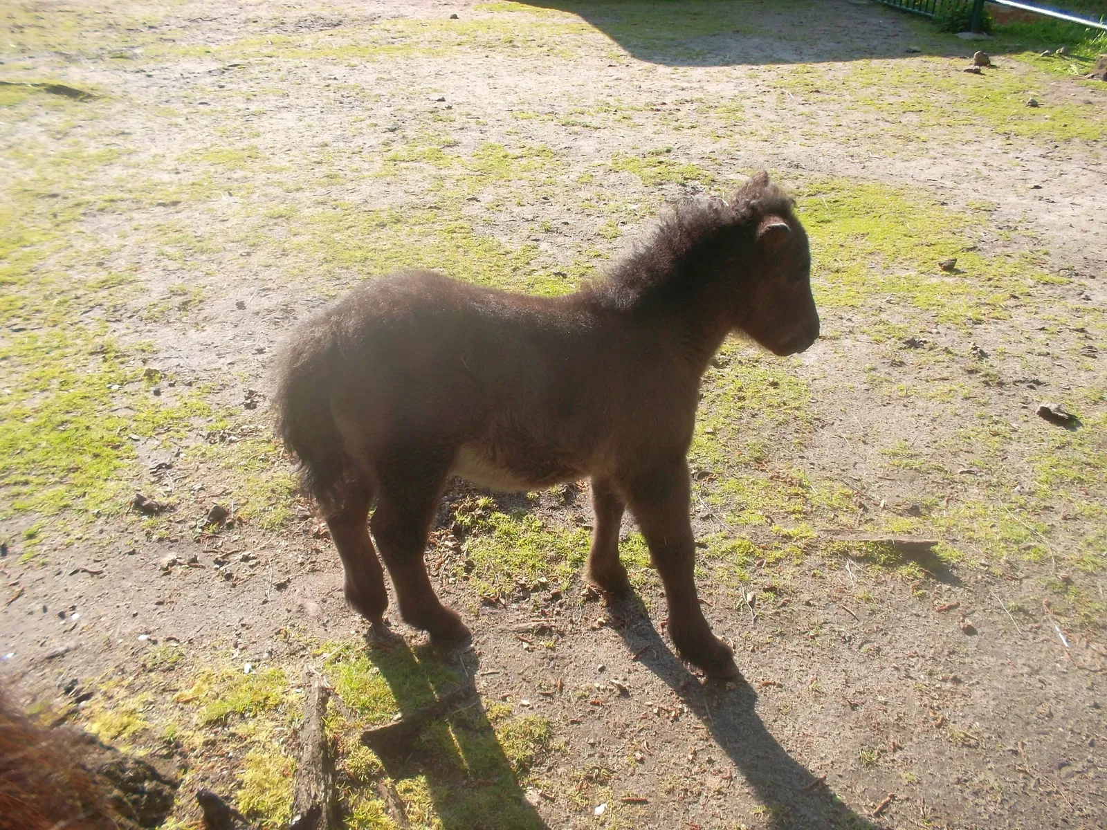 Tierpark Weißwasser