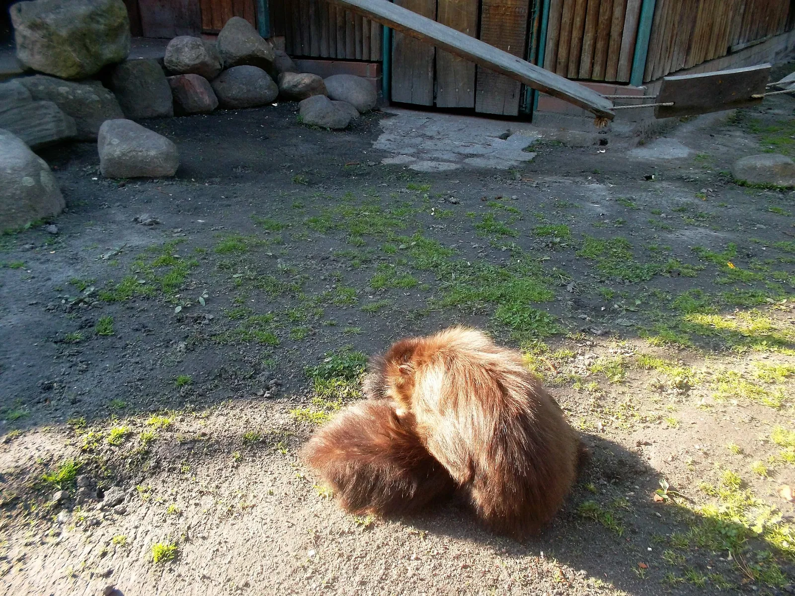 Tierpark Weißwasser