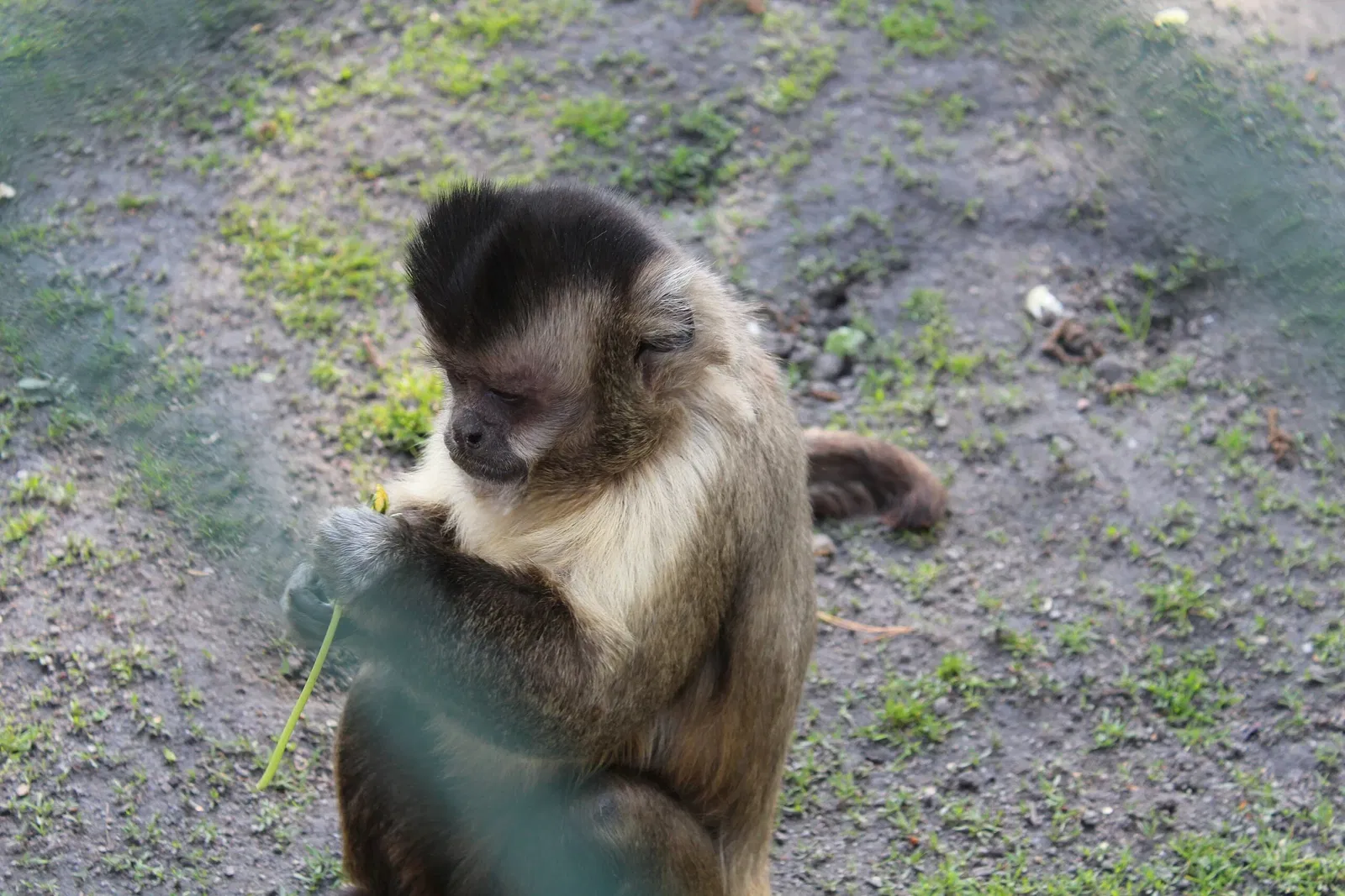 Tierpark Weißwasser