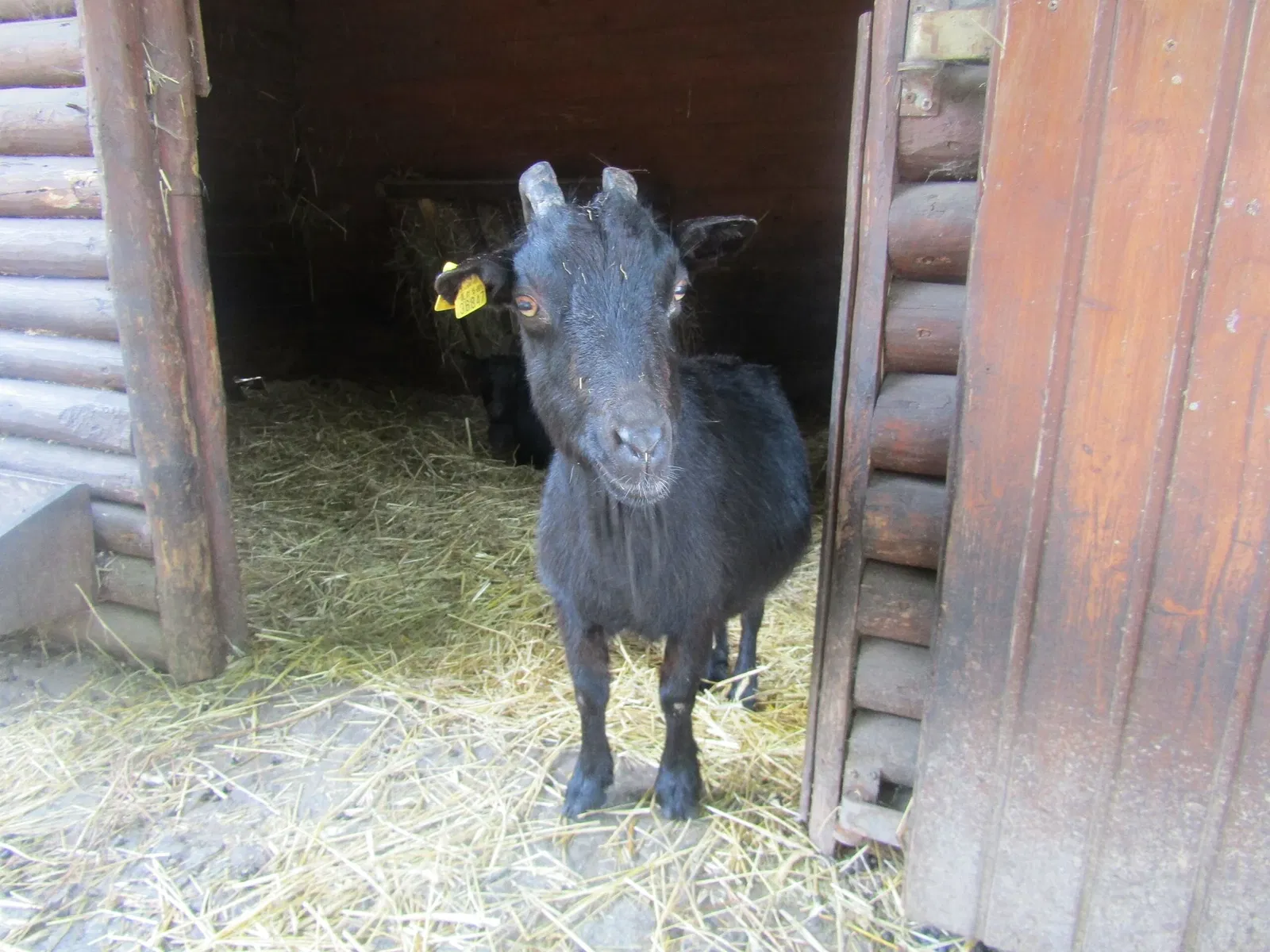 Tierpark Weißwasser