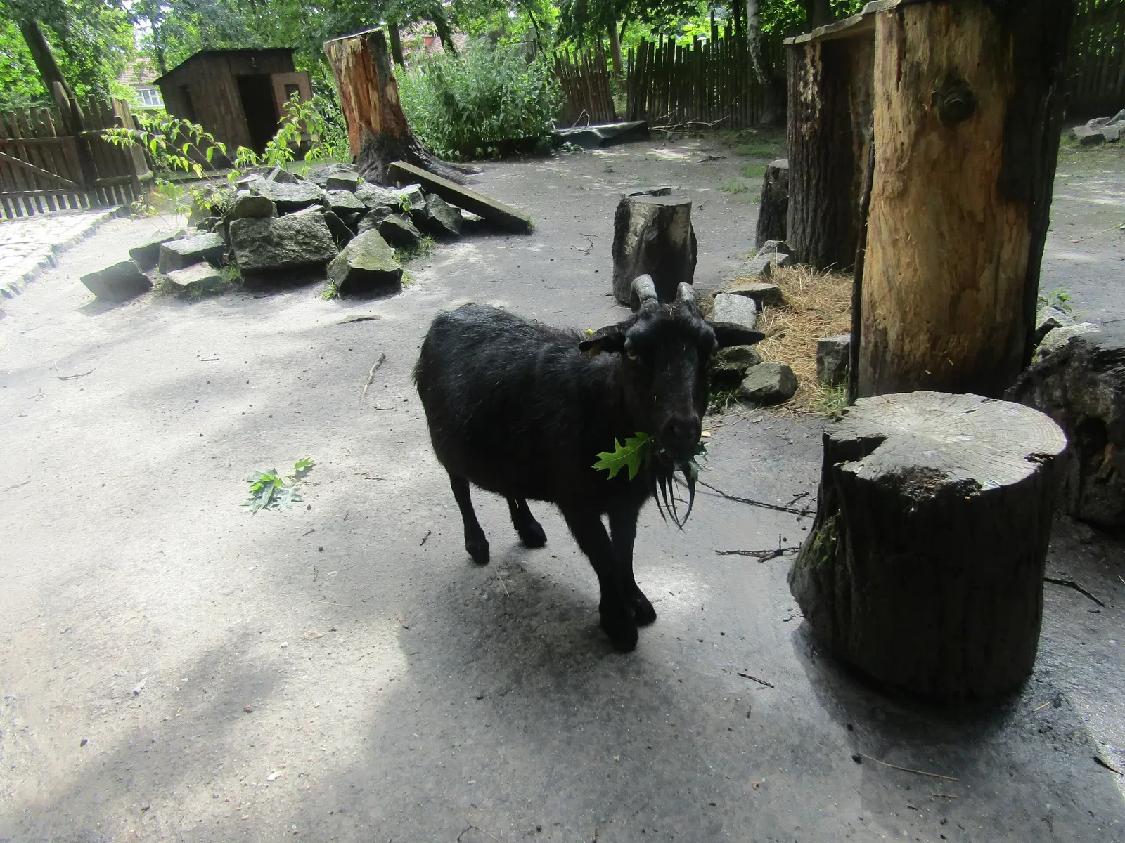 Tierpark Weißwasser