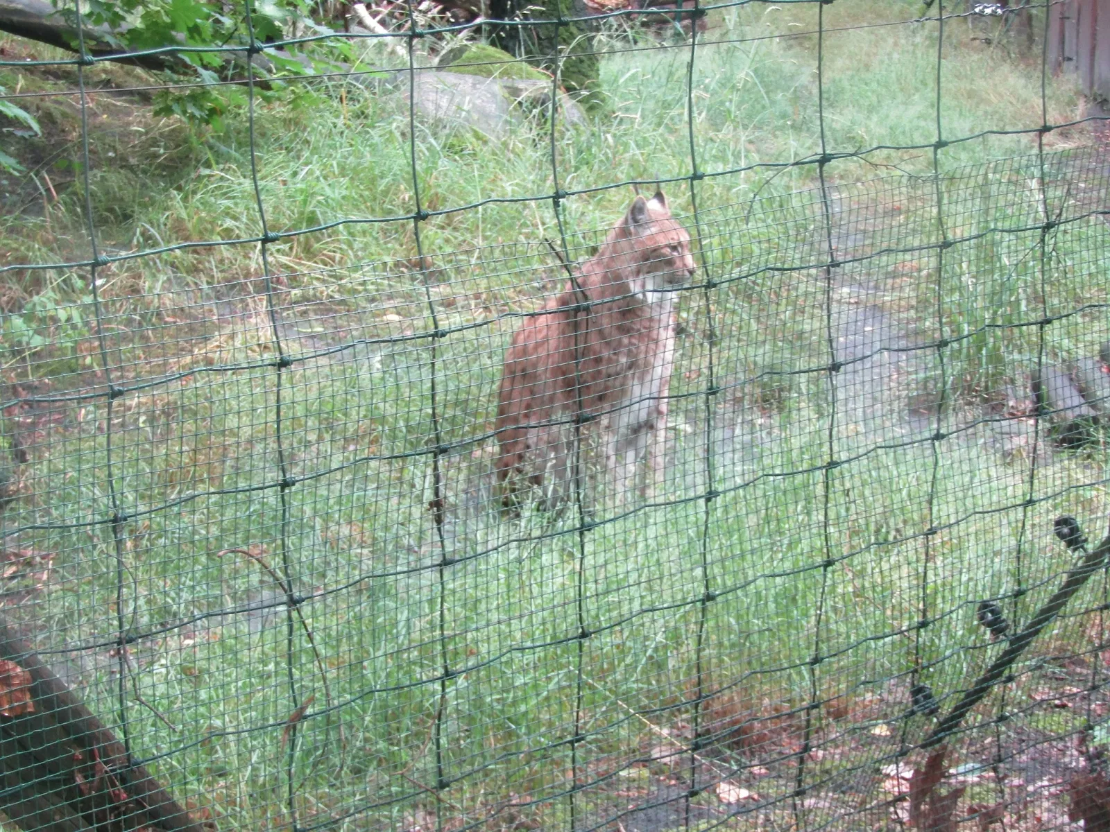 Tierpark Weißwasser