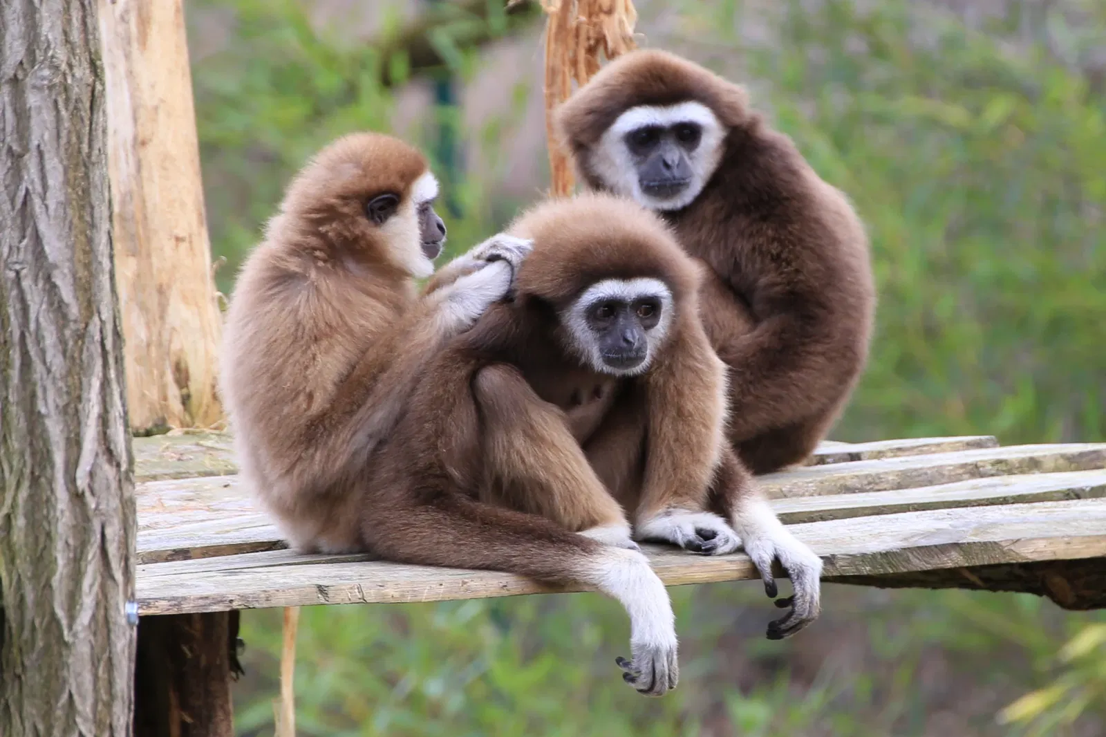 Tierpark Weißwasser