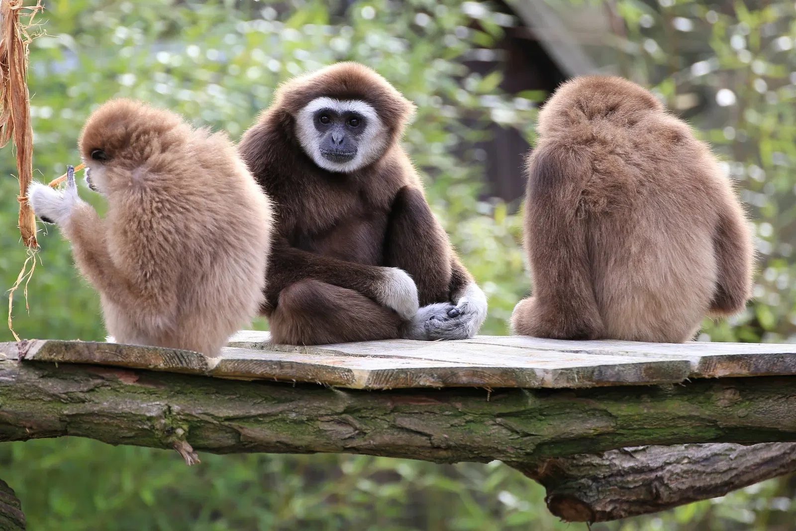 Tierpark Weißwasser