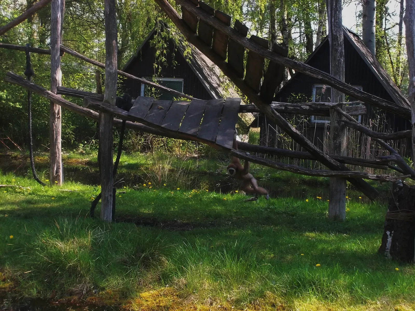 Tierpark Weißwasser