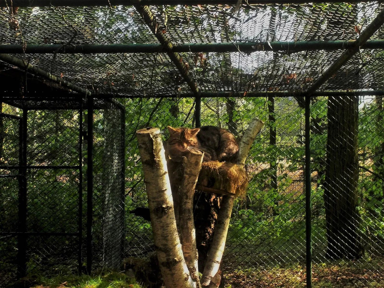 Tierpark Weißwasser
