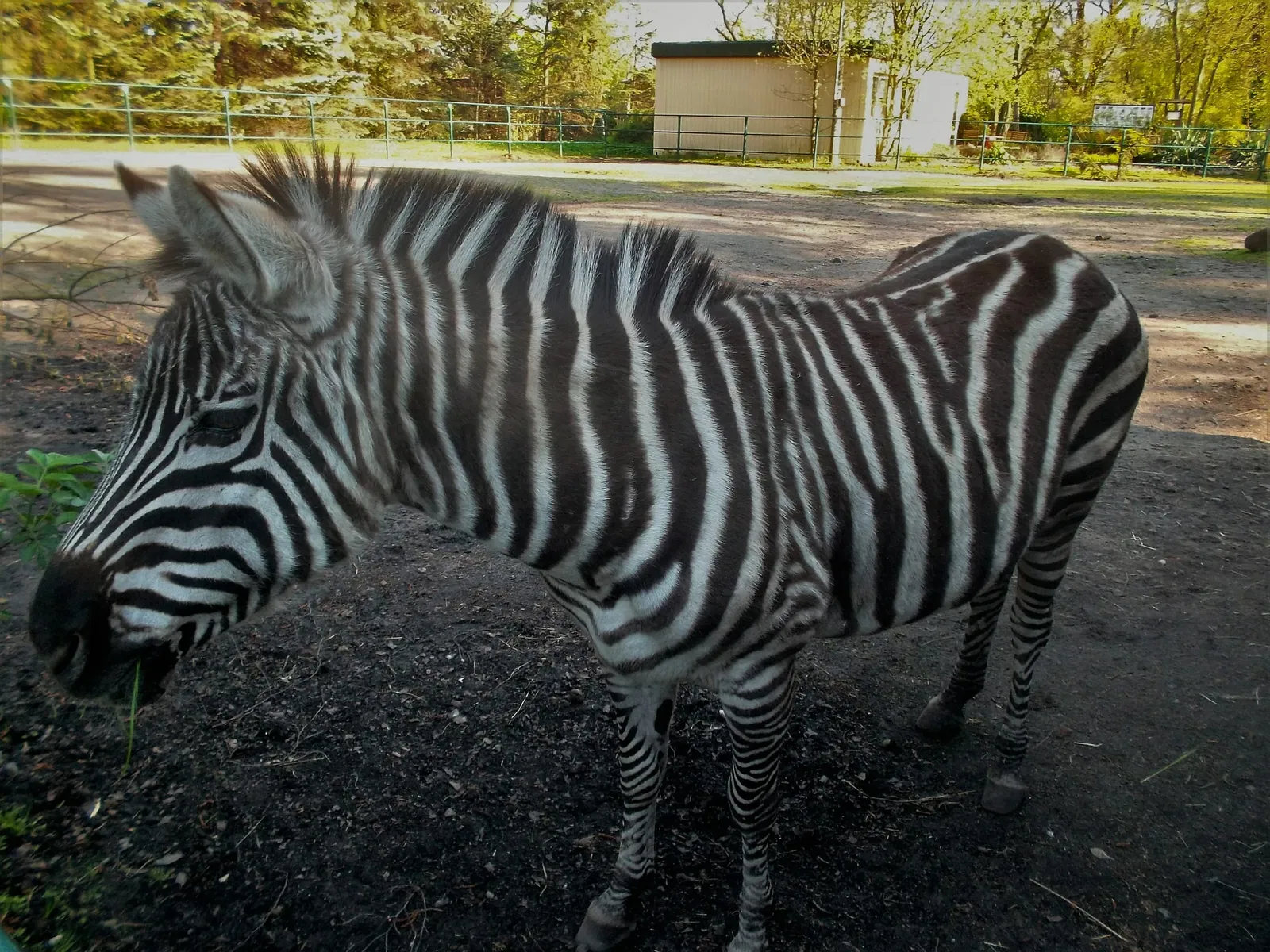 Tierpark Weißwasser