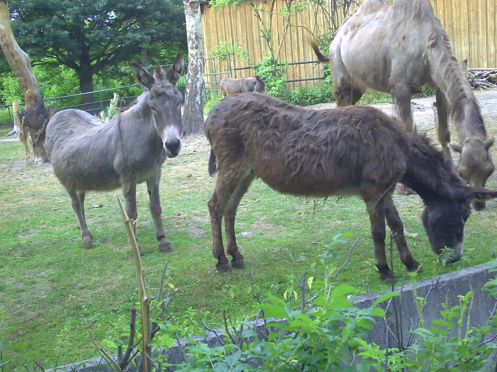 Tierpark Weißwasser