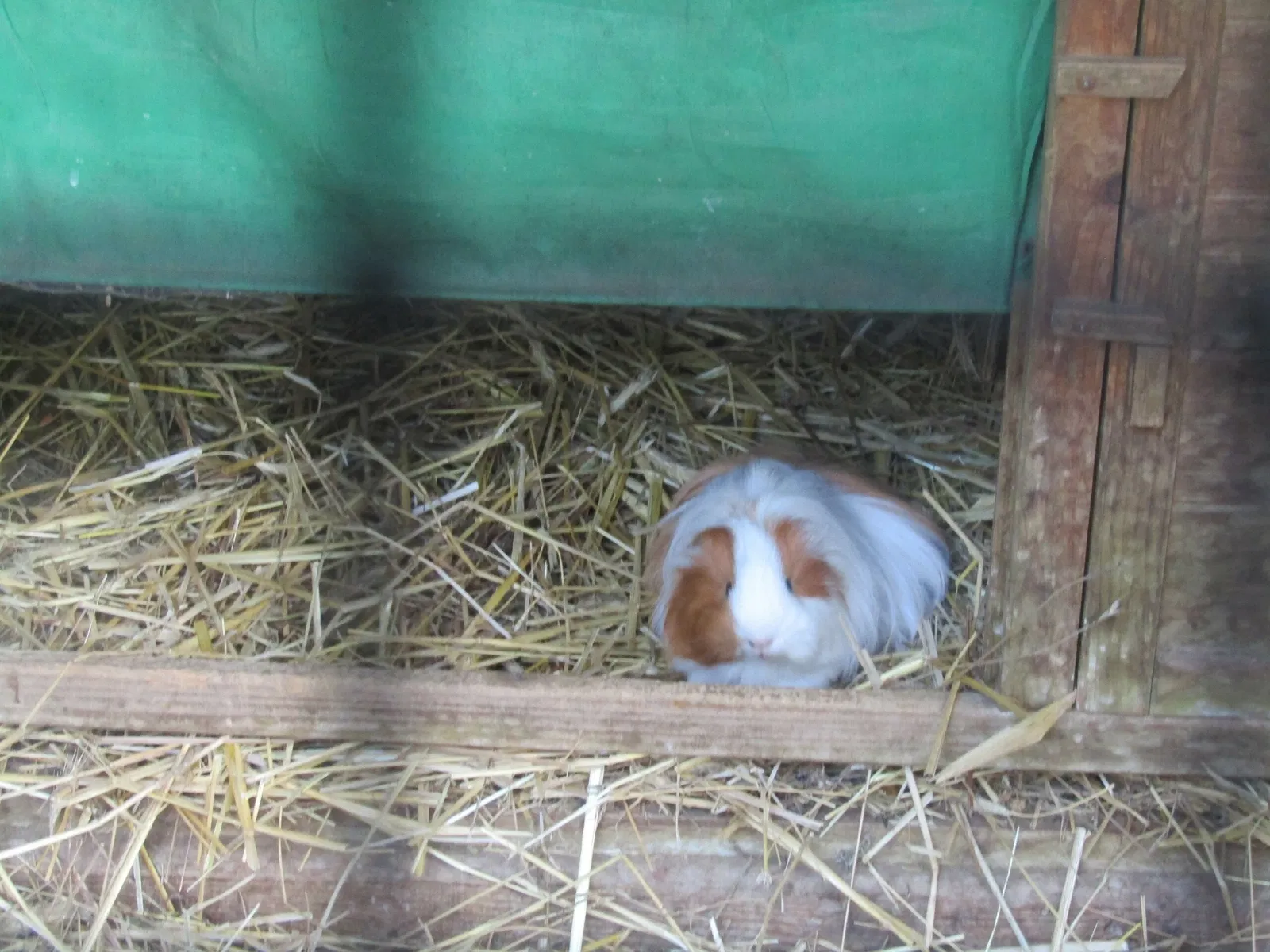 Tierpark Weißwasser