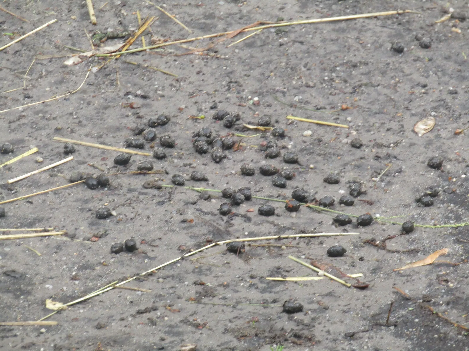 Tierpark Weißwasser