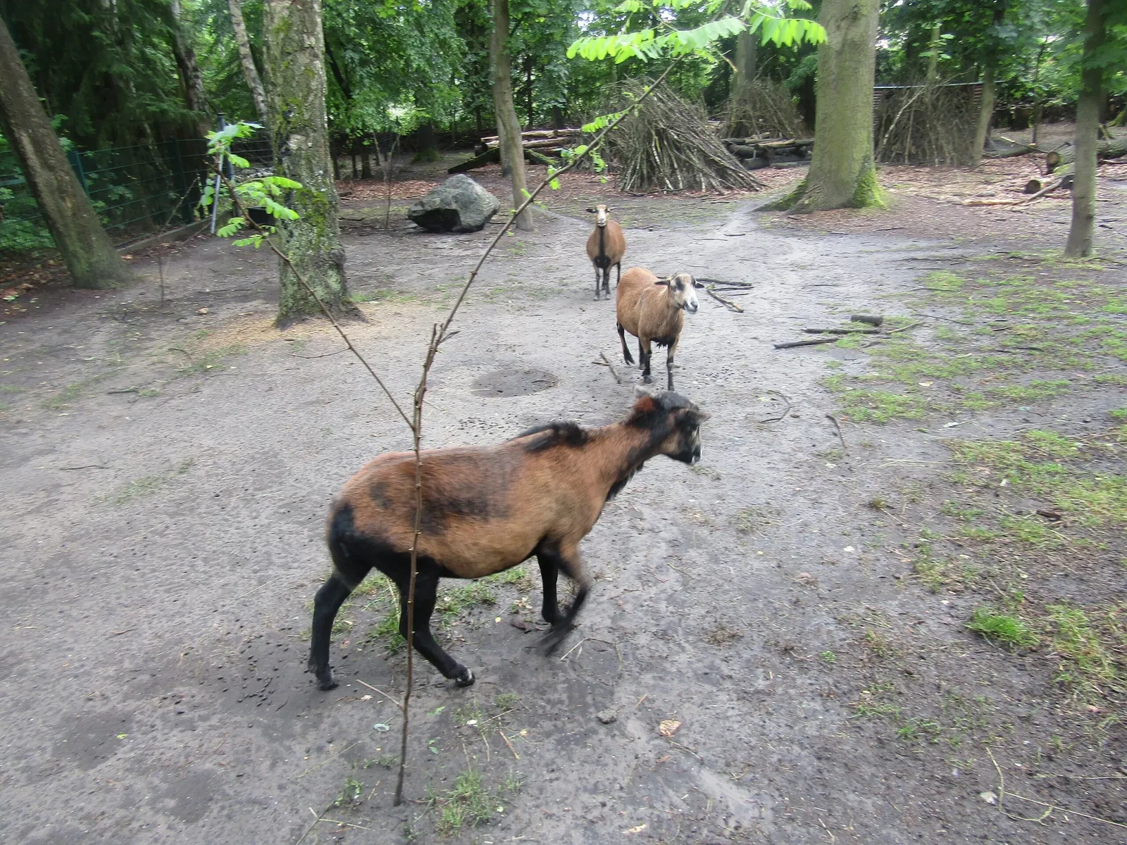 Tierpark Weißwasser