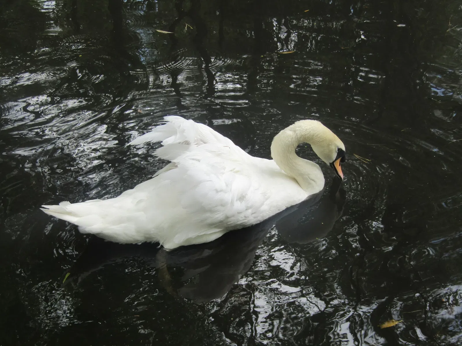 Tierpark Weißwasser