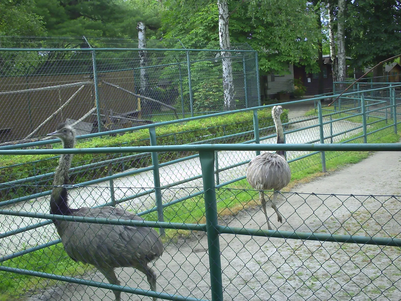 Tierpark Weißwasser