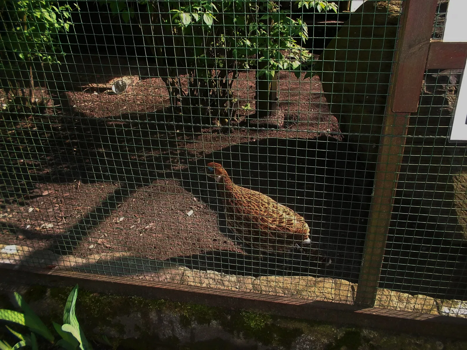 Tierpark Weißwasser