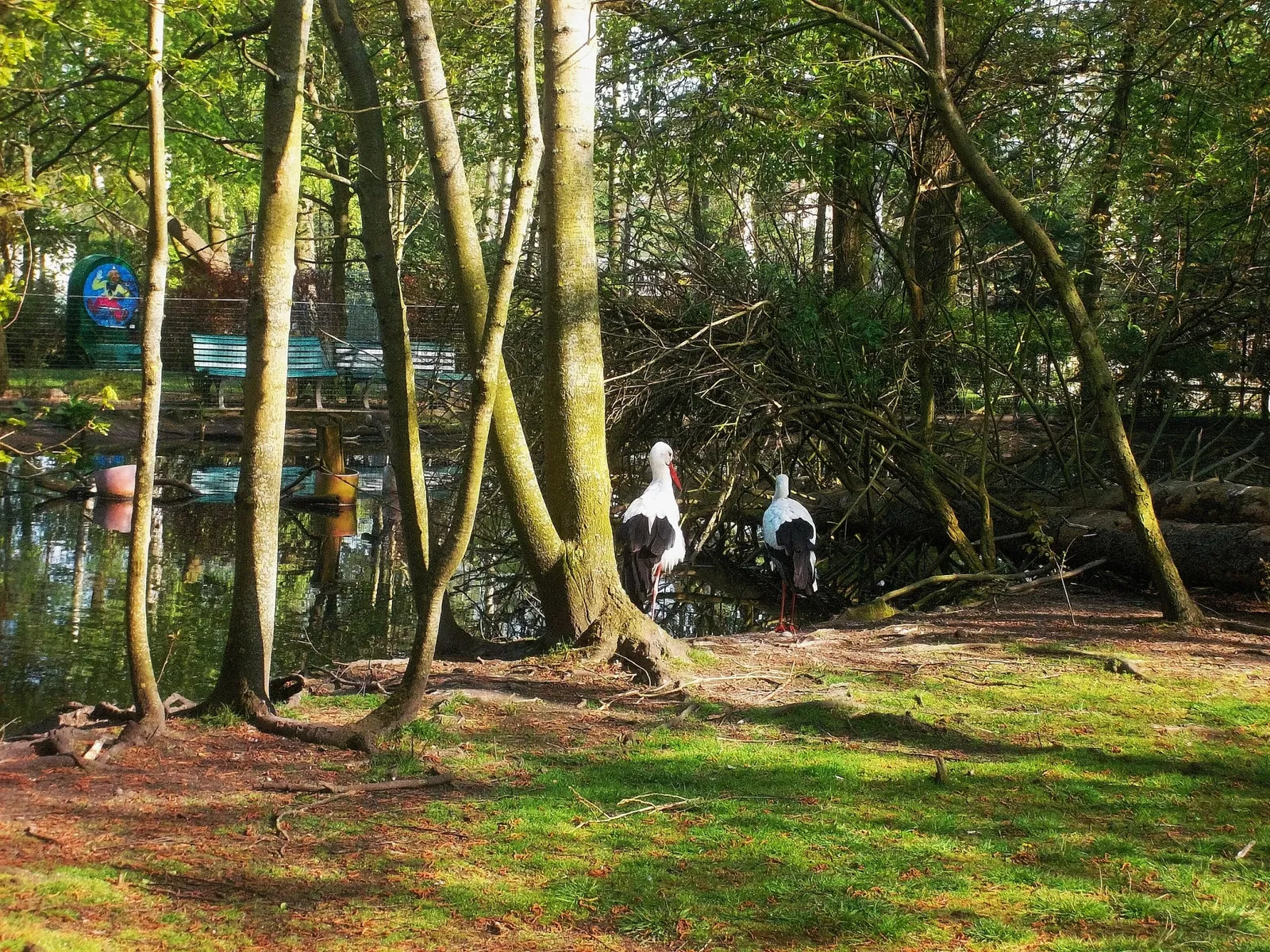 Tierpark Weißwasser