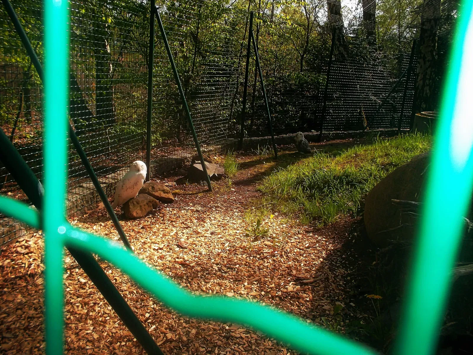Tierpark Weißwasser