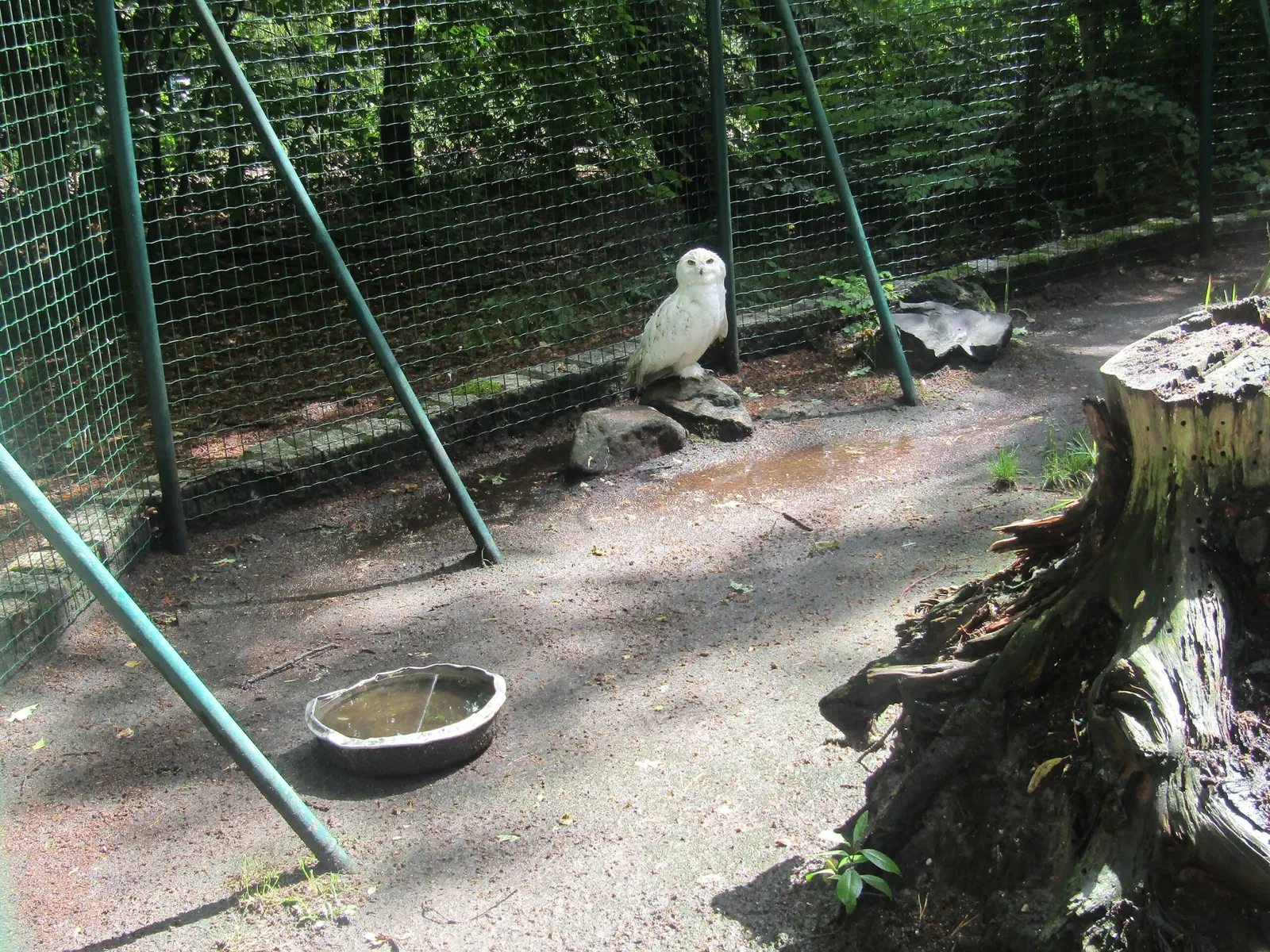 Tierpark Weißwasser