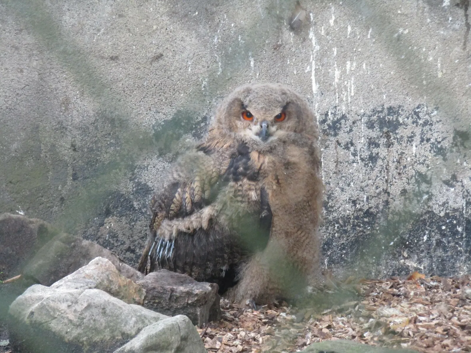 Tierpark Weißwasser