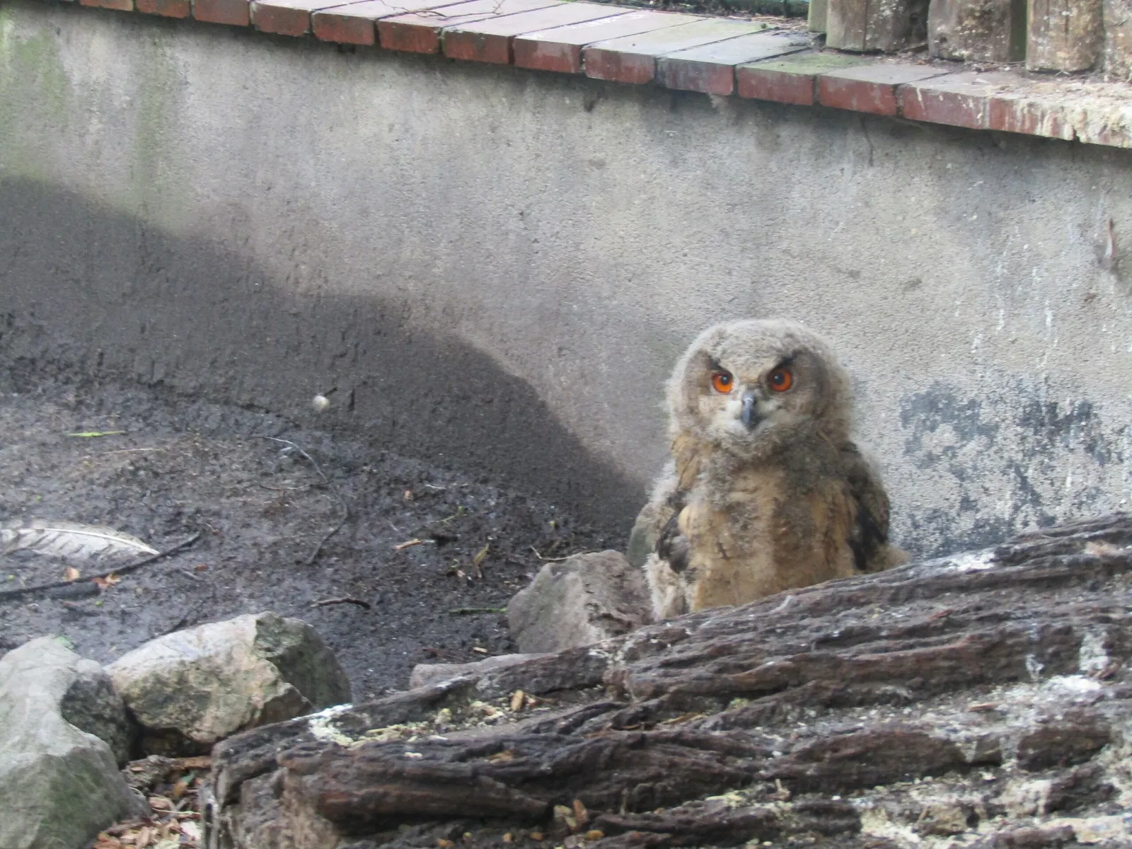 Tierpark Weißwasser