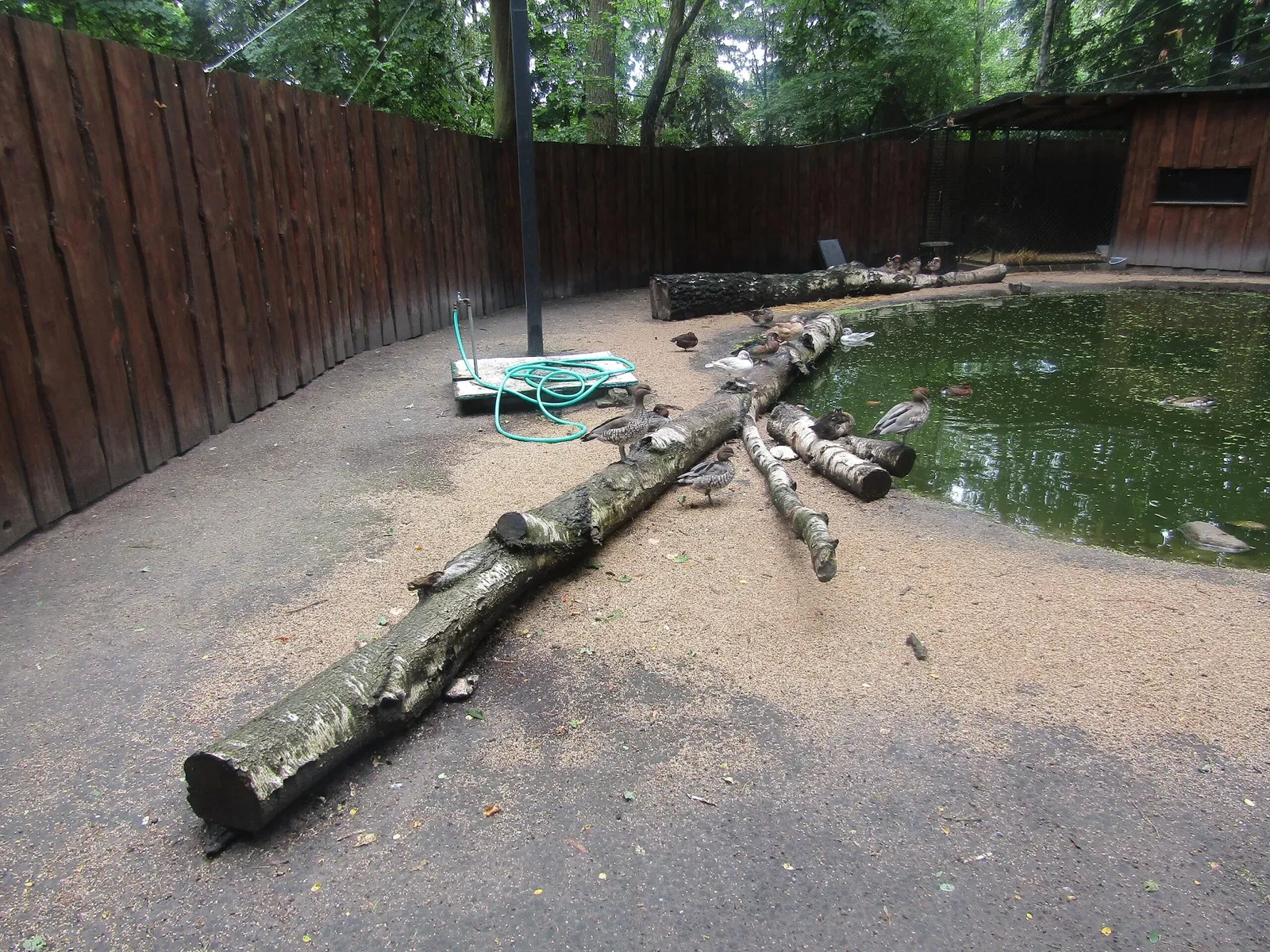 Tierpark Weißwasser