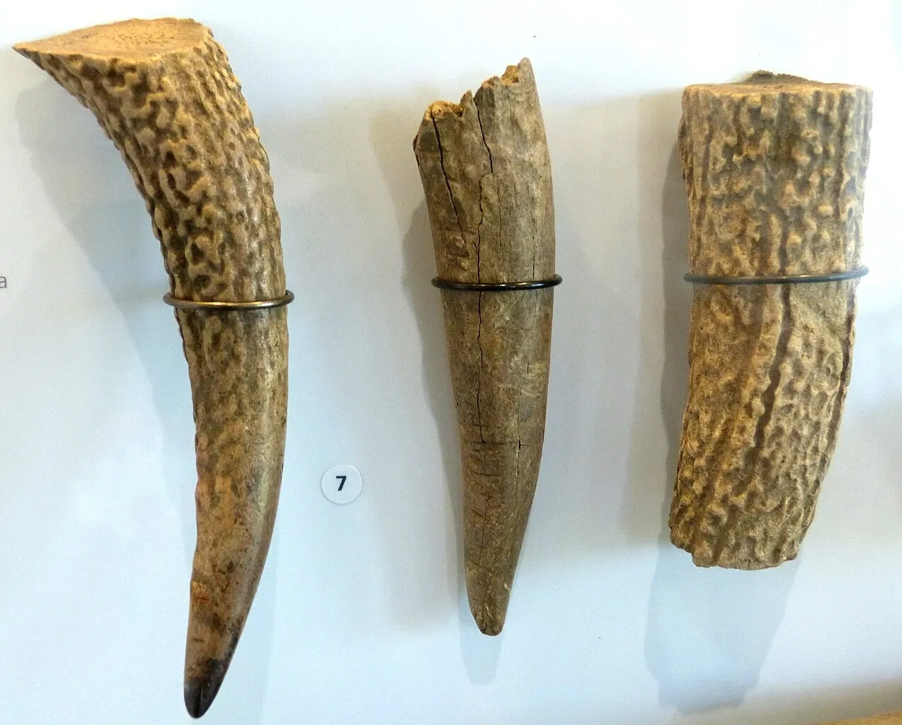 Limeseum Ruffenhofen